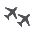 Multiple Carriers