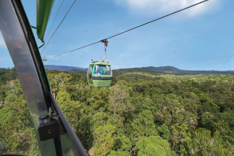 View from the Cairns Skyrail over the rainforest canopy
