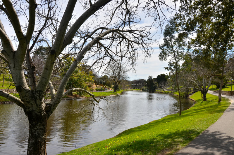 A path along the River Torrens in Adelaide, South Australia.