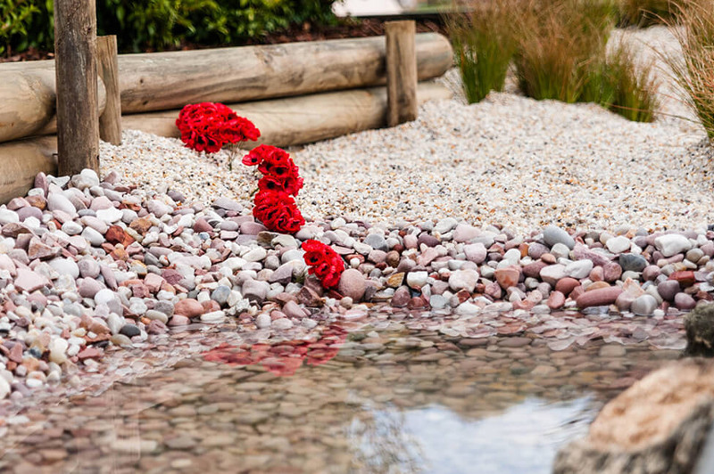 A close-up of a garden pond with white pebbles and red flowers.