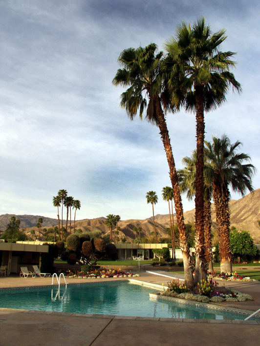 mid-century modern house and pool