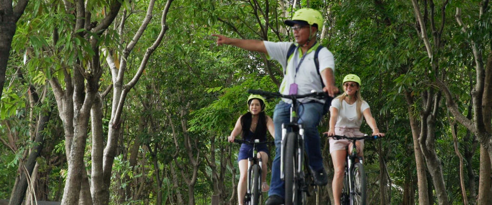 riding in Bang Krachao bangkok