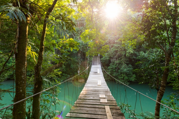 A wooden bridge connects two sections of jungle over a a river in Belize as sunlight filters through the trees - cruise trends to try