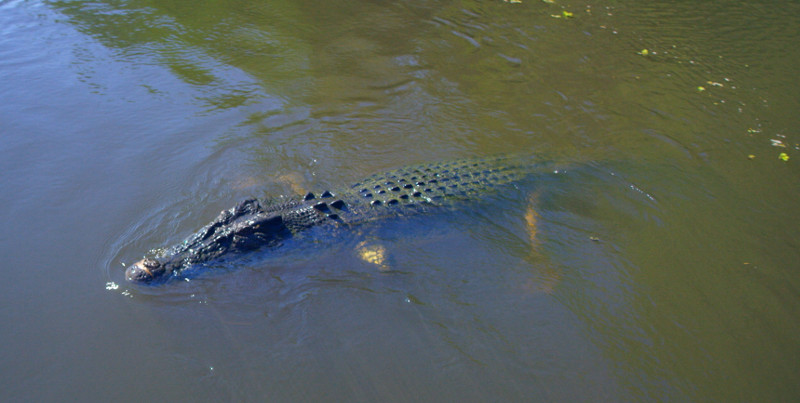 48 Hours in Darwin