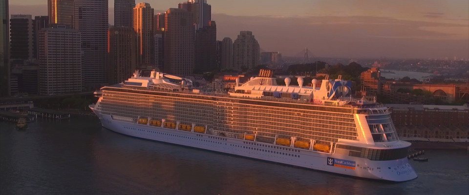 ovation of the seas in sydney harbour sunrise