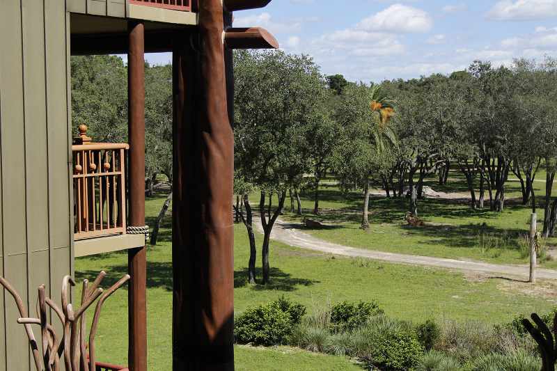A view from one of the rooms at Disney's Animal Kingdom