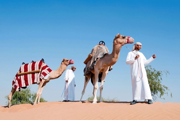 Take a camel ride. Photo: Banyan Tree Al Wadi, Banyan Tree Hotels & Resorts