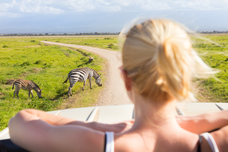 Spotting zebras on safari.