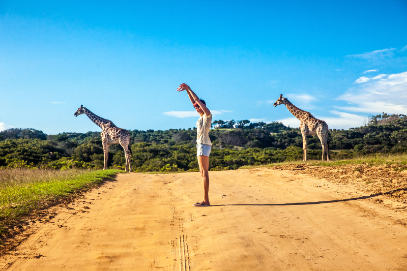Girl with giraffes.