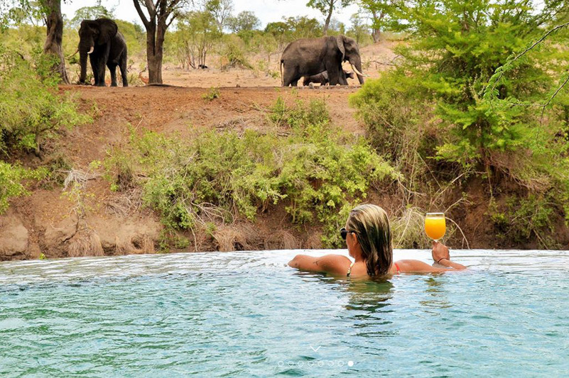 Girl in pool looking out at wildlife in the wilderness.