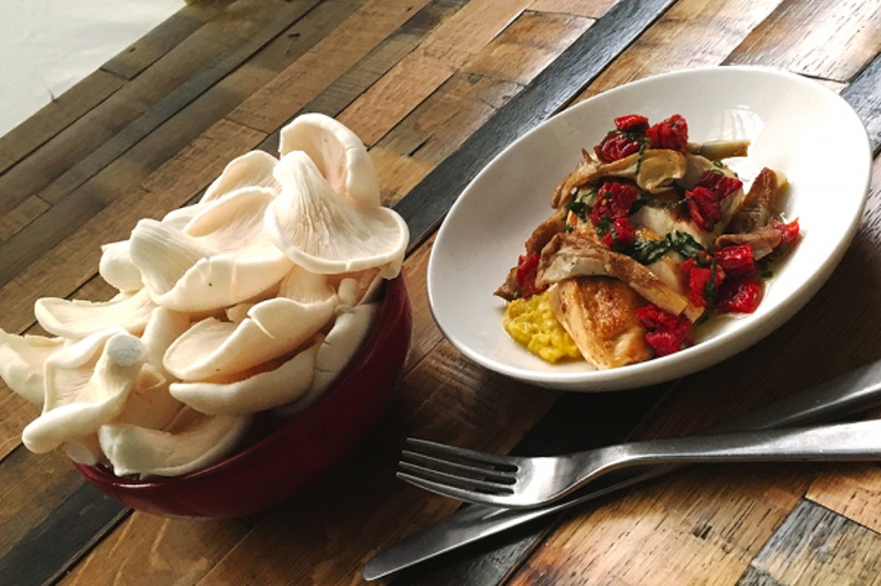 Roasted chicken breast on corn puree with oyster mushrooms and sun-dried tomato salsa is served in Virgin Australia Business Class