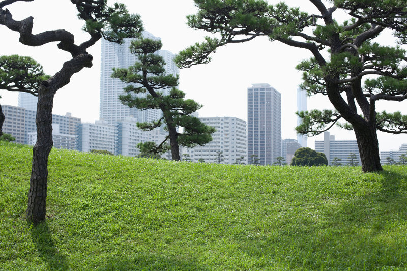 green park with skyscrapers behind