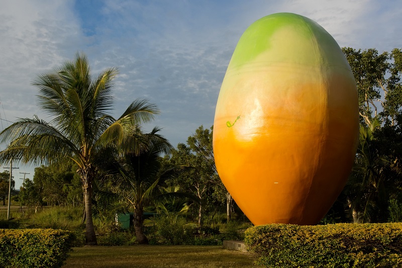  The Big Mango, located at the Bowen tourist information centre.