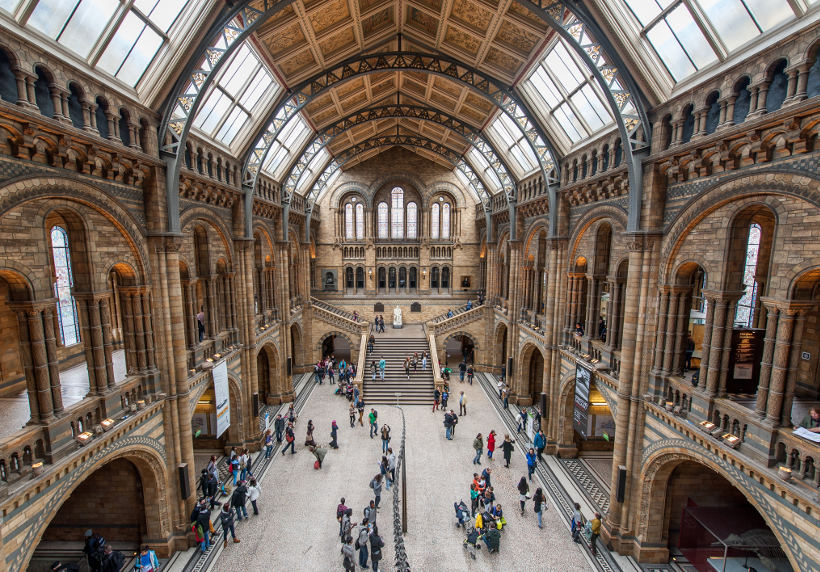 Great hall in the natural history museum london