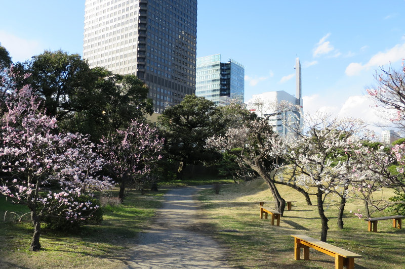 garden path with city backdrop