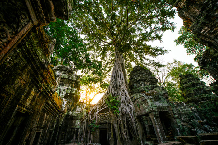 ta prohm temple cambodia tomb raider temple