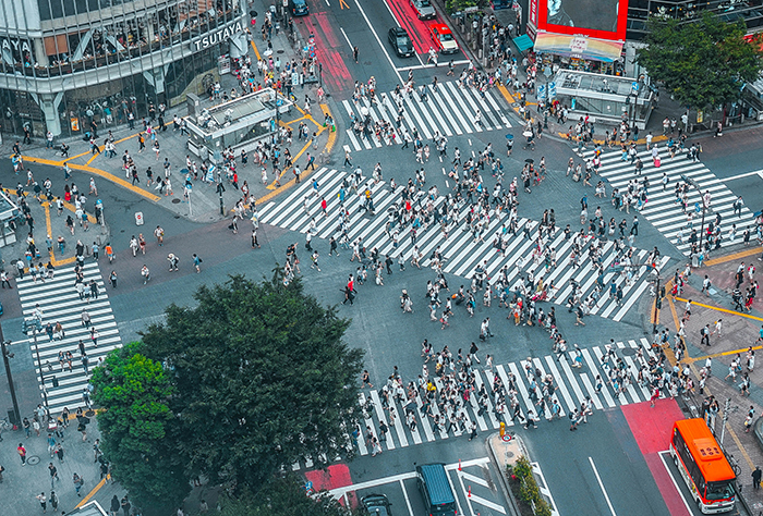 shibuya crossing is a tokyo highlight