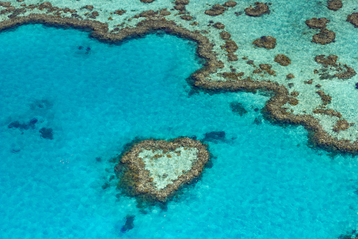 image of heart reef, a heart shaped coral formation in the Whitsunday Islands
