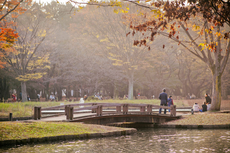 yoyogi park winter