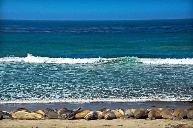 San Simeon beach, California