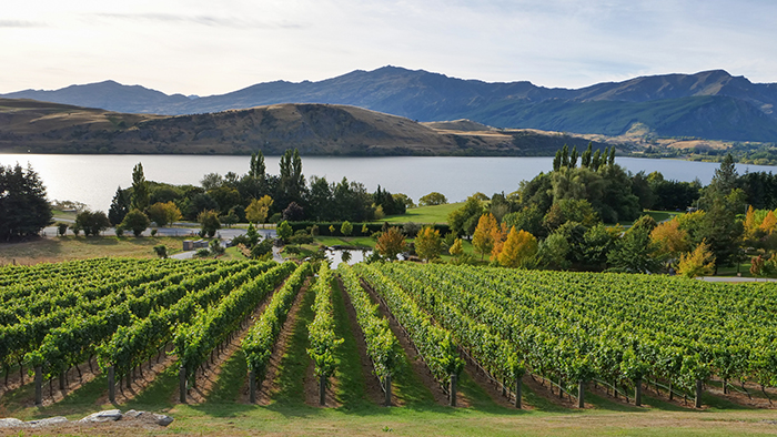 Queenstown's wineries are some of the best for pinot noir, chardonnay and sauvignon blanc