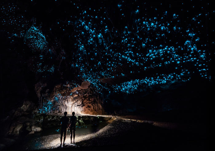 waitomo glow worm caves new zealand