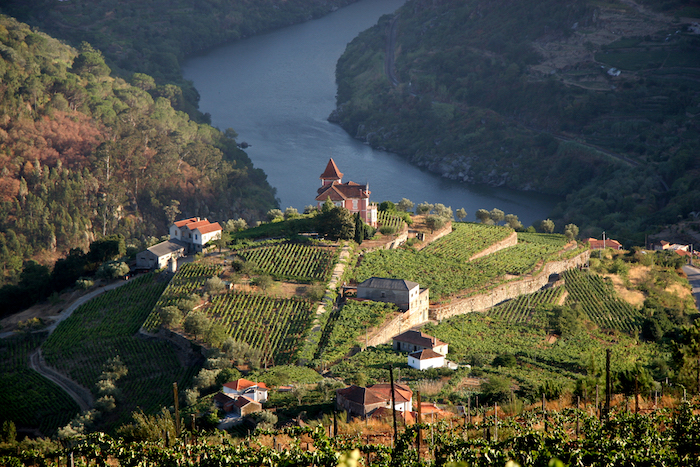 View of a winery over the Douro River in Portugal - 14 romantic travel experiences for Valentines Day