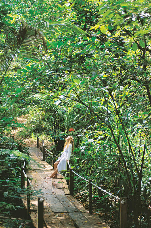 A woman stands on a path in the Daintree Rainforest of Tropical North Queensland.