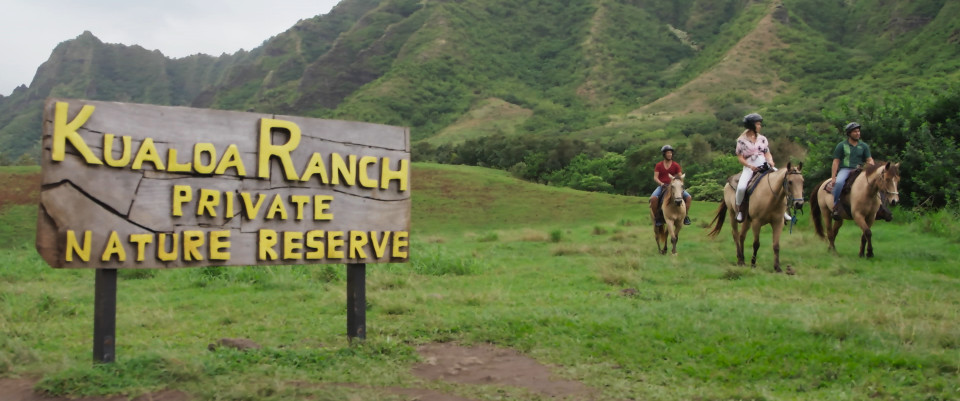 horseback riding ualoa ranch oahu hawaii