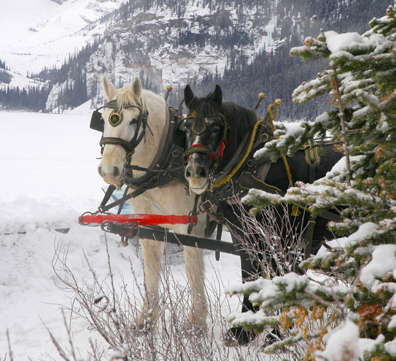 Fairmont Chateau Lake Louise