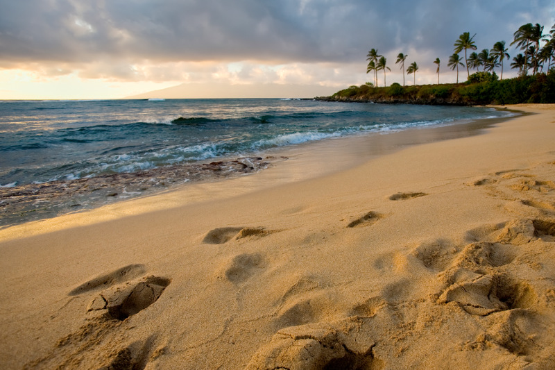 a view of the shoreline at Kapalua Beach