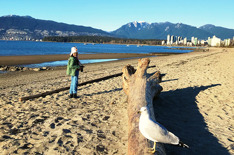 Seagull on log at Kitsilano Beach, Vancouver