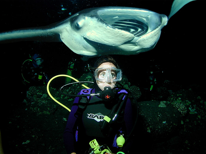 diver and manta ray swimming 