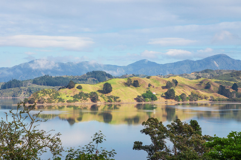 Hokianga Harbour in New Zealand.