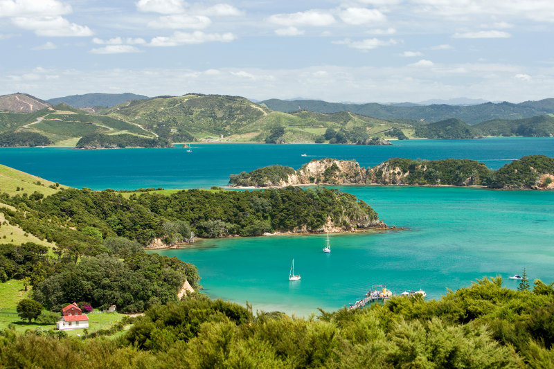 Rolling green hills and surrounding blue ocean at Urupukapuka Island in New Zealand.