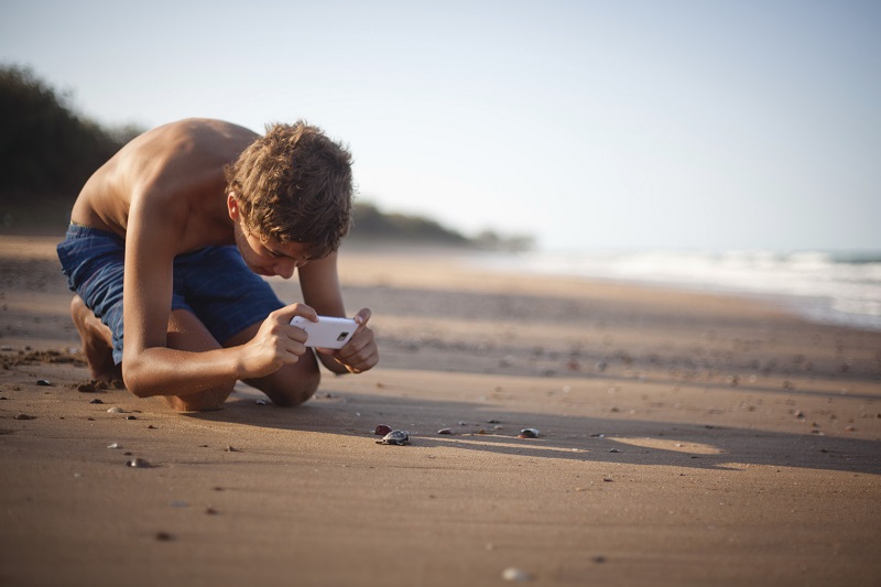 Watch the turtle hatchlings scurry along. Image: Tourism and Events Queensland Rowan Bestmann. 