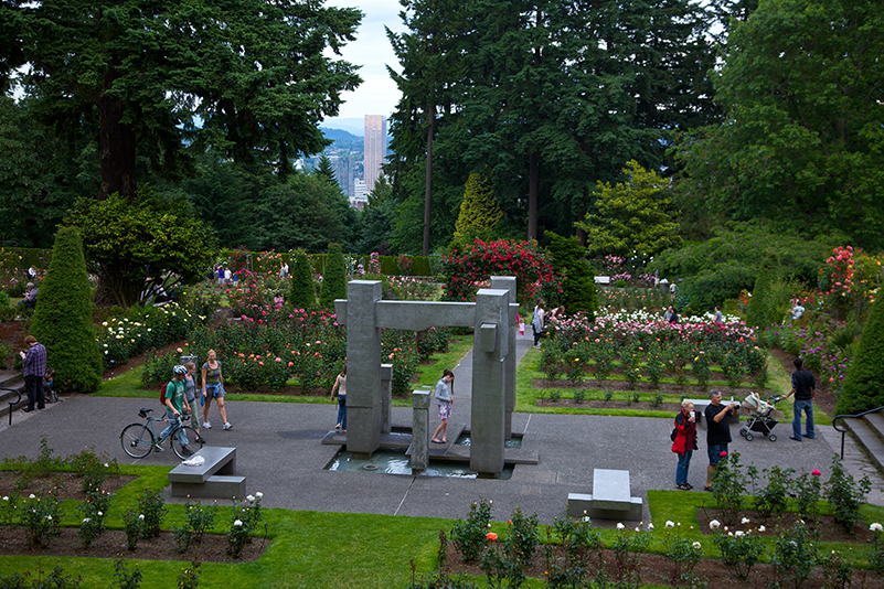 Aerial view of people in Portland's International Rose Test Garden