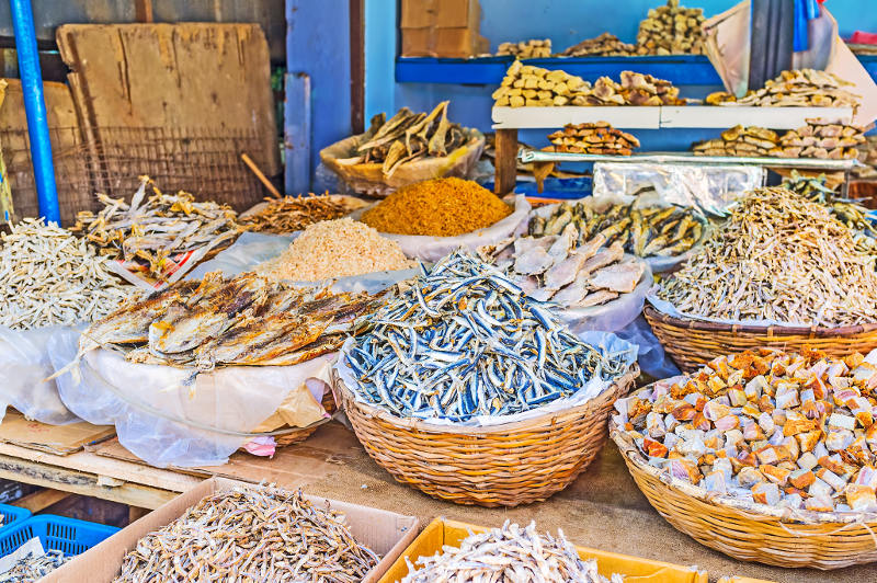 fish market in colombo, sri lanka