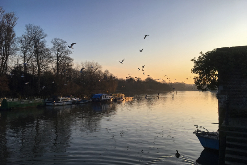 winter morning on the thames river, london