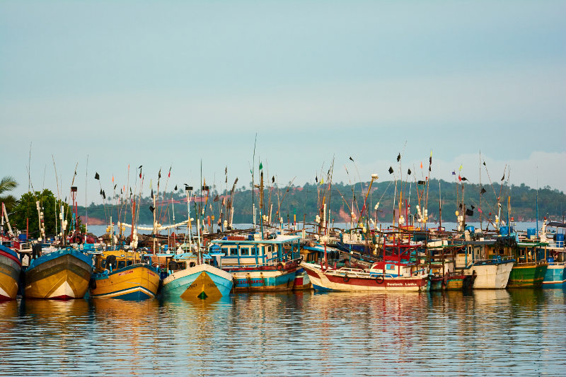 Fishing boats in the Mirissa harbour, Sri Lanka. 