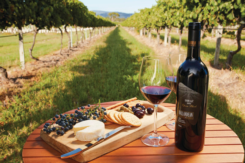 wine and cheese platter in vineyard, southern queensland country