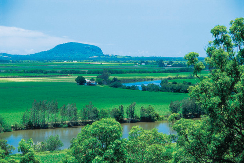 view of Yandina