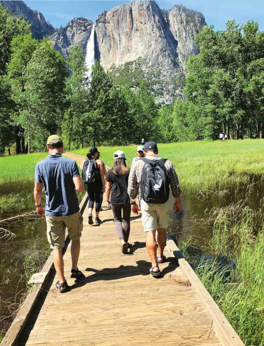 A few travellers wandering through a verdant meadow in Yosemite Valley