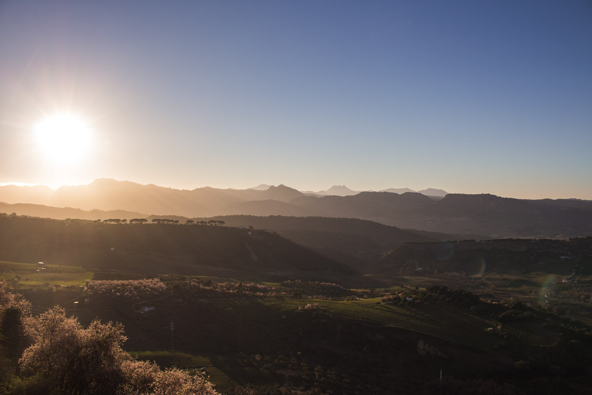 The drive at sunset Costa del Sol. Image: James Taylor