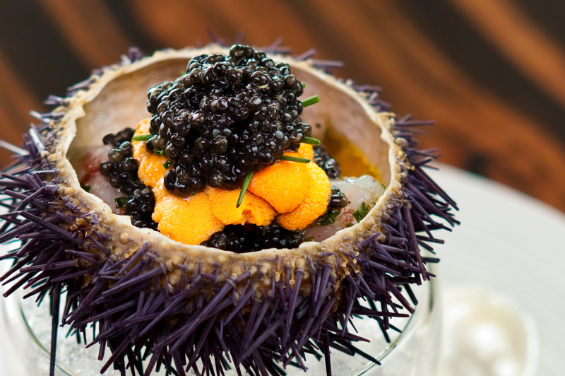 Shrimp with sea urchin and caviar