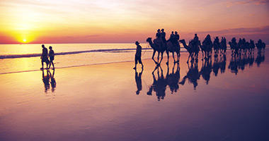 Sunset Camel Ride