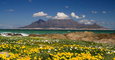 Table Mountain