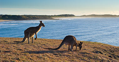 Friendly Locals