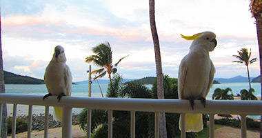 Friendly Locals