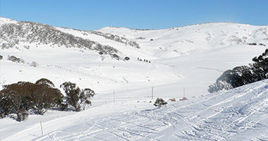Fresh Powder at Falls Creek